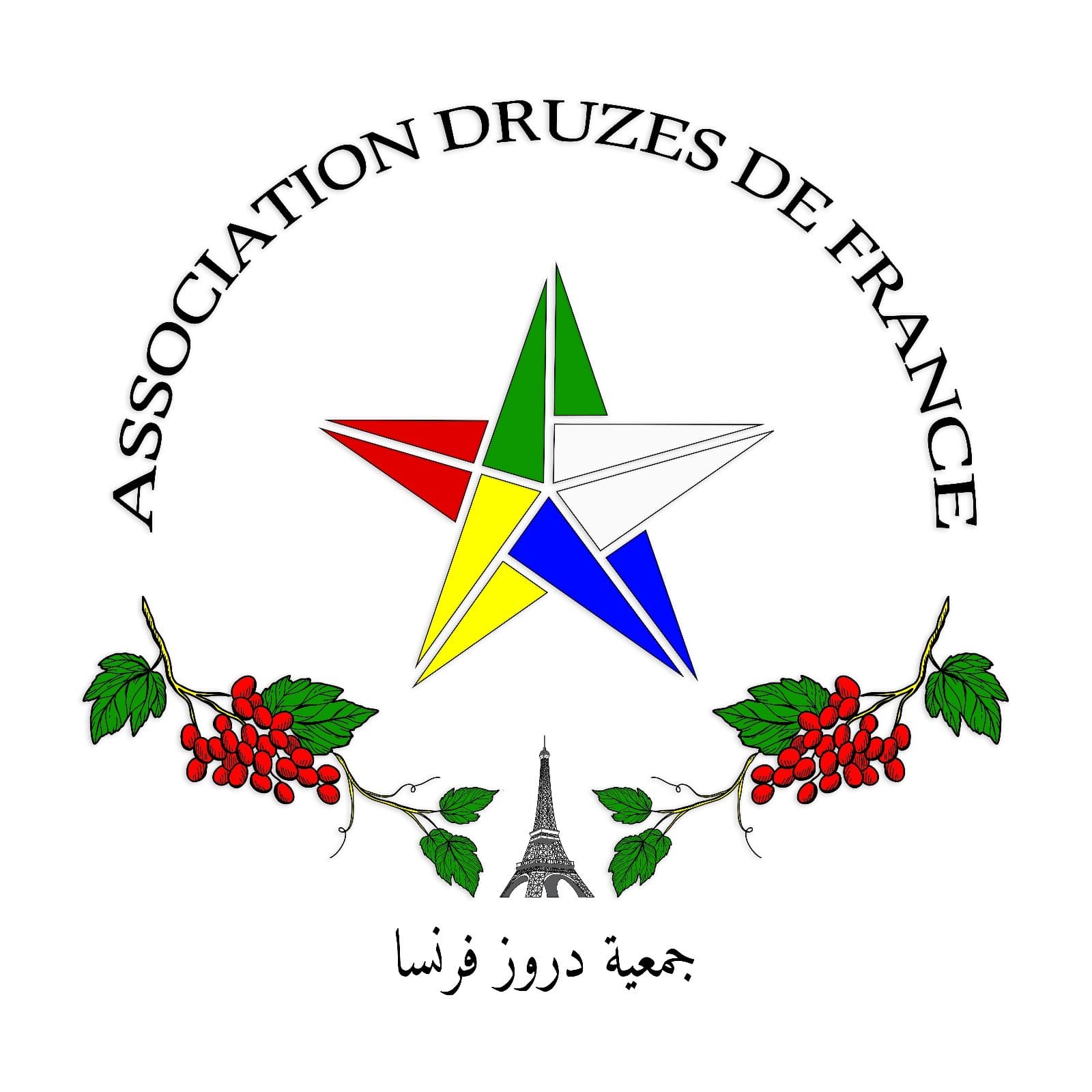 جمعية دروز فرنسا